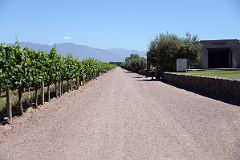 07-01 Pulenta Estate Winery Is The Second Winery On Our Lujan de Cuyo Tour Near Mendoza.jpg